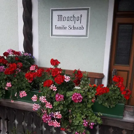 Moarhof *